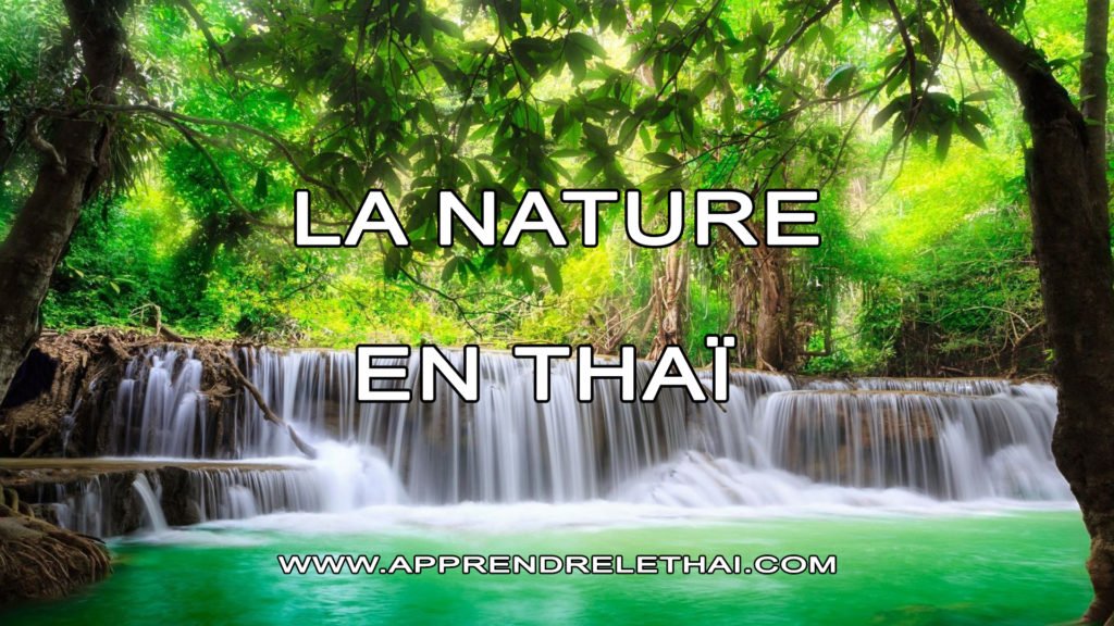 La Nature en Thaïlande
